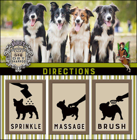 Violet the Apawthecary Fairy : (Enchanted Forest Scented) Dry Shampoo For Dogs! Trial Size - LEAGUE OF CRAFTY CANINES