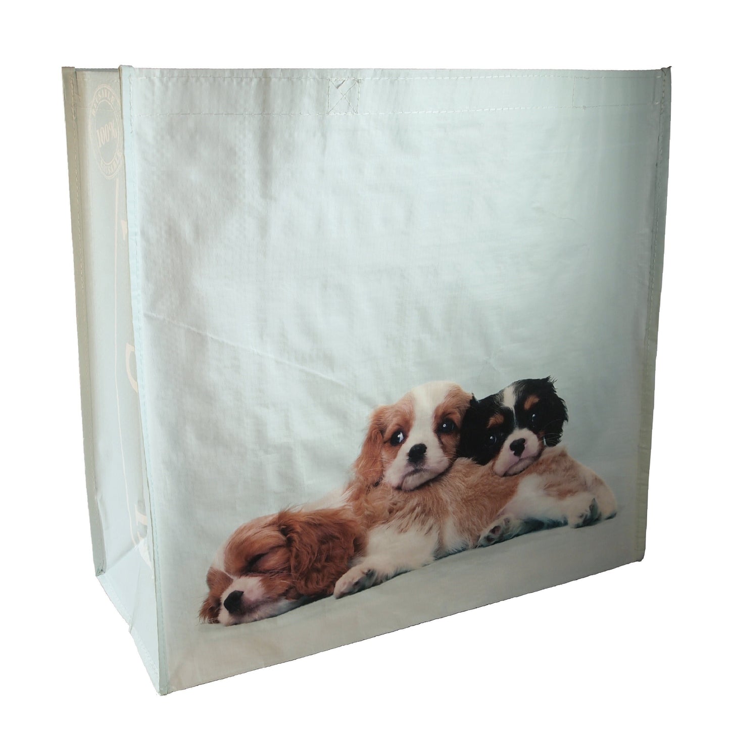Reusable Eco Friendly Shopping/Gift Bag - King Charles Cavalier Puppy Trio - Light Blue