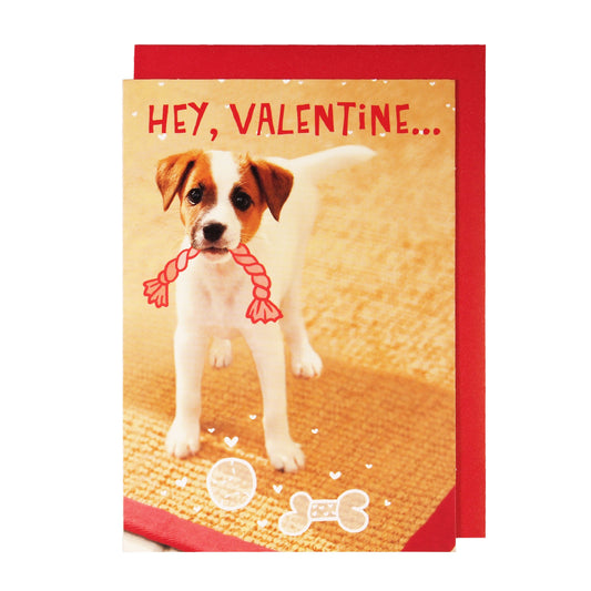 Valentine's Day Card : "Hey Valentine ..." - Jack Russell - LEAGUE OF CRAFTY CANINES